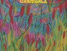 CANNIBALE NO MERCY FOR LOVE BORN BAD RECORDS LP VINYLE NEUF NEW VINYL