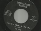 GARAGE FUZZ PUNK- EVIL - WATCHA GONNA DO ABOUT IT  -HEAR - 1967 LIVING LEGEND