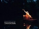 Shotgun Wedding - DIRTY DEEP [LP]