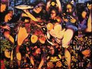The Tragically Hip - Fully Completely (Remastered Vinyl LP) NEW