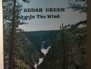 CEDAR CREEK In The Wind LP orig. private rural folk psych ssw 1976 EX rare
