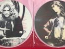 Led Zeppelin - In Person - Part One & Two LP Picture Disc RSR 205-6 AB - PROMO