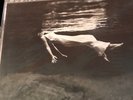 Undercurrent [Limited Edition LP] by Jim Hall/Bill Evans (Piano) (Vinyl,...