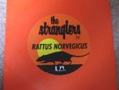 The Stranglers: Peasant in the Big Shitty 7
