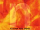 Nine Inch Nails - Broken [LP+7''] (180 Gram Vinyl, 2016 remaster) 2017
