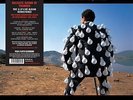 Delicate Sound Of Thunder [Vinile] Pink Floyd