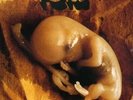 Fetus [Vinile] Franco Battiato