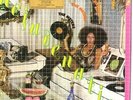 Meters - Rejuvenation + 2 (Vinyl Used Like New)