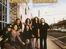 Lynyrd Skynyrd: Pronounced Leh-Nerd Skin-Nerd *180g Mobile Fidelity Vinyl LP