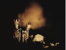 PEARL JAM RIOT ACT DOUBLE VINYL NEW (10TH NOV)