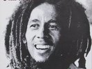 Bob Marley & The Wailers - Kaya Vinyl LP NEU 0650107