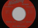 Rock & Roll 45 - Joe Melson - Wake Up, Little Susie - Hickory - mp3