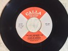 Charlie Hodges Day He Made You Loving You Is Beautiful NM CALLA northern