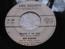 REX GARVIN BELIEVE IT OR NOT/I GOTTA GO NOW(UP ON THE FLOOR) LIKE 45-302 (VG)45