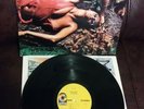 ROXY MUSIC STRANDED LP BRYAN FERRY Cheesecake USA 1974 Atco SD 7045 VERY GOOD+