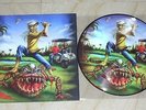 IRON MAIDEN – The Evil in Florida, PICTURE DISC w/COVER, limited edition, NEW,