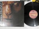 JOHN FOGERTY EYE OF THE ZOMBIE WARNER P-13358 Japan OBI Promo Vinyl LP