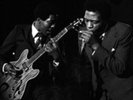 Buddy Guy and Junior Wells-Chicago Blues Festival Vinyl / 12