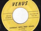 45-DOO-WOP-ROYALS-SOMEDAY WE'LL MEET AGAIN/I WANY U 2 B MY BABY on VENUS-RARE