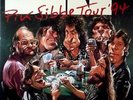 BAP - Wolfgang Niedecken - 1994 - Konzertplakat - Pik Sibbe - Tourposter - W