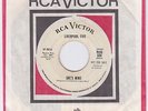 The LIVERPOOL FIVE she's mine 45 massive GARAGE mod PSYCH dancer HEAR ?