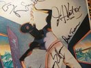 Oingo Boingo Signed by Band and Danny Elfman LP good for your soul