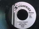 RARE ORIGINAL STARDUST JIMMY RADCLIFFE- MOMENT OF WEAKNESS/LARRY TRIDER-CARBON C