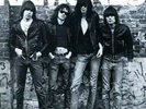 The Ramones - Ramones (Debut) - 180gram Vinyl LP *NEW & SEALED*