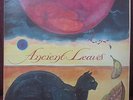 RARE MICHAEL STEARNS / Ancient Leaves / 1977 AUTOGRAPHED Psych Synth LP Vinyl