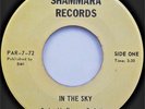 GREEN LIGHT In the Sky   Modern Soul 45 LISTEN  Shammara Records