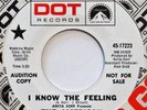 AMERICAN SCENE I Know The Feeling DOT 45 Sunshine Pop NM 7” w/ insert
