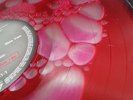Slayer Reign in Blood liquid filled record (Iron Maiden,Metallica,Mayhem,Death)