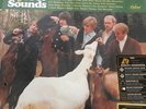The Beach Boys Pet Sounds 200g LP (Mono) Near Mint