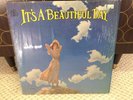 It's a Beautiful Day SFS 11790 Half Speed Mastered Audiophile Gatefold Shrink