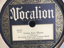 GEORGIA TOM & TAMPA RED VOCALION 1246 BLUES 78 RPM E- *GREAT GUITAR*