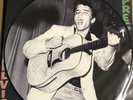 ELVIS PRESLEY, Self Titled Debut Album, 180 GRAM PICTURE DISC VINYL LP Import