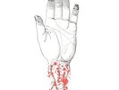 `Converge - You Fail Me: Redux [LP] (White Vinyl, down (US IMPORT)  VINYL LP NEW