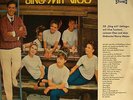 Vico Torriani - Sing mit Vico: 8 Potpourris mit 28 Schlager-Hits (Decca LP 1962)