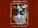 2LP AMOEBA SPLIT DANCE OF THE GOODBYES PROG CANTERBURY VINILO JAZZ LA CORUÑA