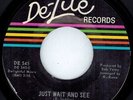 ?Mid-tempo North Carolina Soul REGGIE SADDLER REVUE 