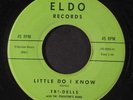 TRI-DELLS: Baby I Love You So / Little Do I Know 45 (clean ) Vocal Groups
