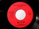 SIPP - What We Gonna Do? / Instrumental (Modern Soul  Funk 45) Tren-Don (DG)