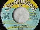 CONNIE ** Funky Little Beat ** Sunnyview Soul Boogie 45rpm VG++