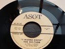 NORTHERN SOUL-THE SULTANS-I WANNA KNOW-ASCOT