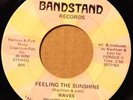 Waves - Feeling The Sunshine, Bandstand Buffalo, NY, Rare Psych Pop Jazz, Listen