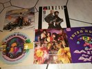 Die Toten Hosen +Ärzte Vinyl 5x+++extra 2xRio Reiser (König von Deutschland)
