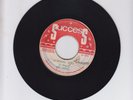 SUCCESS/ BURNING FIRE - JOE HIGGS (70 REGGAE ROOTS 7
