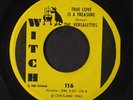 VERSALETTES: Shining Armor / True Love Is A Treasure 45 Vocal Groups
