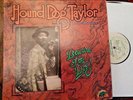 HOUND DOG TAYLOR 