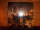 Pink Floyd Animals Mint Con.Record LP Album Vinyl (58) Blue/White Mirror Finish